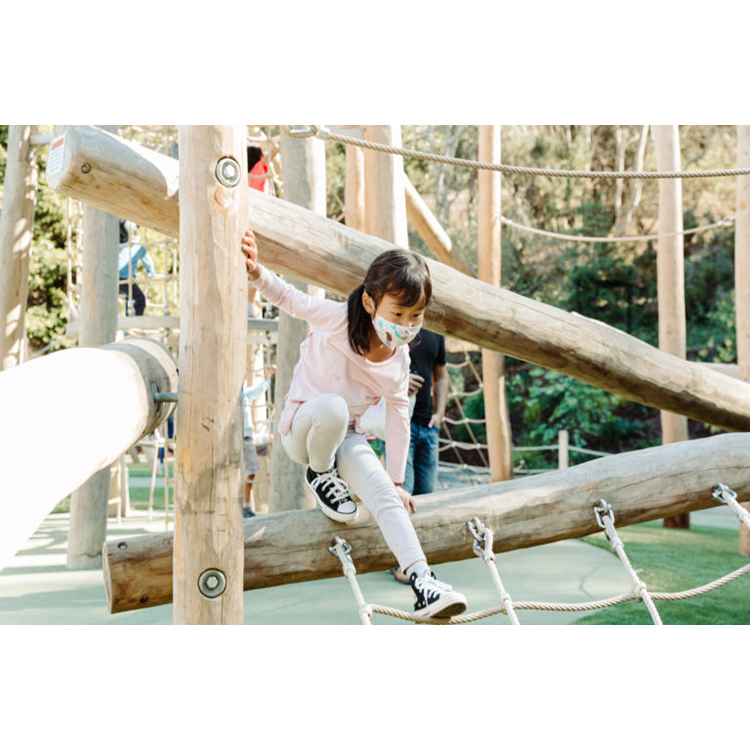 Taman Bermain Anak-anak Set Pe - Kids Outdoor Wooden Playset ulasan dan harga