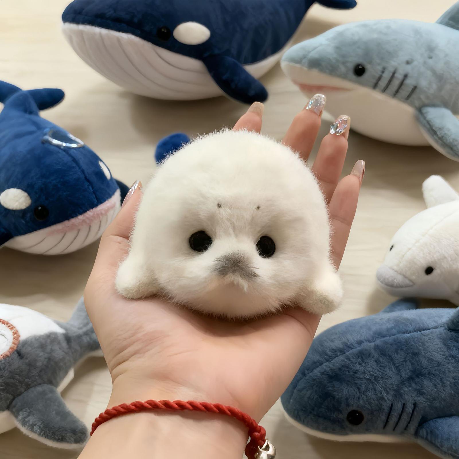 Boneka Hewan Laut Kecil Lucu K - Kids Outdoor Movies ulasan dan harga